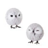 Raz 4" Set Of 2 Owl Christmas Ornament 4203486 1 Raz 4" Set Of 2 Owl Christmas Ornament 4203486 -The Jolly Christmas Store 4203486 77868.1691589505
