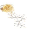 Raz 10' Fairy Cluster Christmas Lights On Silver Wire L4337023 1 Raz 10' Fairy Cluster Christmas Lights On Silver Wire L4337023 -The Jolly Christmas Store L4337023 38948.1753823124