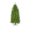 Regency 5' LED Lighted Norfolk Pine Artificial Christmas Tree MTX72869L 2 Regency 5' LED Lighted Norfolk Pine Artificial Christmas Tree MTX72869L -The Jolly Christmas Store MTX72869L TGCB 11182.1726756051
