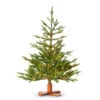 Raz 3' Bavarian Fir Tree With LED Lights Christmas Tree With Wood Stand T4509557 -The Jolly Christmas Store T4509557 21112.1758050990