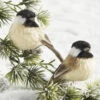 Raz 3.5" Clip On Bird Christmas Ornament 4153305 -The Jolly Christmas Store api03tnhj 70487.1646091961