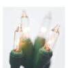 Brite Star 25' 100 LT Random Twinkling Clear Mini Incandescent Lights On Green 37-491-00 1 Brite Star 25' 100 LT Random Twinkling Clear Mini Incandescent Lights On Green 37-491-00 -The Jolly Christmas Store apipbizpd 30469.1646091866